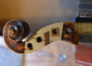 Violin scroll has been relieved for a new graft to be fitted